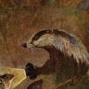 burthebadger avatar