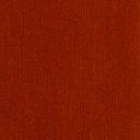 buryingbeetle avatar