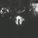 buscando-belleza avatar