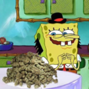 busco-so-sabedoria-blog avatar