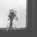 buseferdeboyle avatar