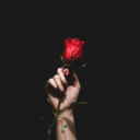 buseyolacar-blog avatar