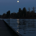 busted-biscuits avatar