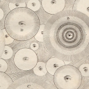 bustertheduster avatar