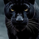 bustypanther avatar