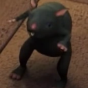 busy-business-goose avatar