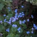 busy-exploring avatar