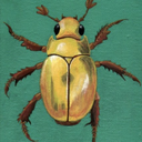 busybeingborn avatar