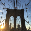 busylilbeehive avatar