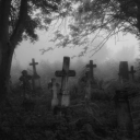 but-im-not-alive avatar