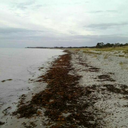 but-memories-stay-forever avatar