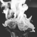 but-what-heart avatar