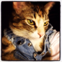 butch-privilege avatar