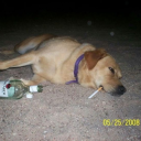 butchclericbeast avatar