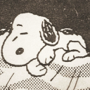 butchkittykat avatar