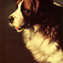 butchstbernard avatar