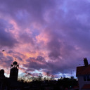 butdarlingitsbeautiful avatar