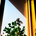 butimabennettwitch avatar