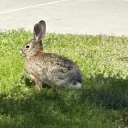 butimachrldr2 avatar