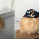 butmaybetheyshouldnt avatar