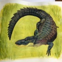 butoridesvirescens avatar