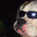 butt-crunchies avatar