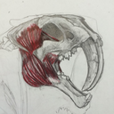 buttchuggthis40wme avatar