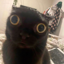 butterbreadexe avatar