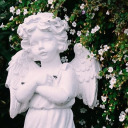 buttercups-and-bruises avatar