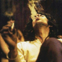 butterfliesandsage avatar