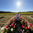 butterfliesinthenightsky avatar