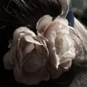 butterfliesonapostcard avatar