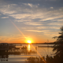 butterflieswhisper avatar