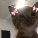 butterfly-analove avatar