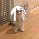 butterfly-effe3t avatar