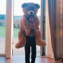 butterfly-kitten avatar