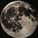 butterfly-to-survive avatar