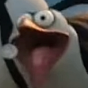 butterfly-umbrella-art avatar