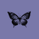 butterfly-wingss avatar
