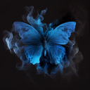 butterflyblues-posts avatar