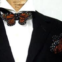 butterflybowties avatar