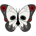 butterflycoffin avatar
