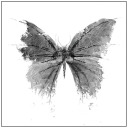 butterflyeffectillustrated avatar