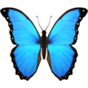 butterflyemoji avatar