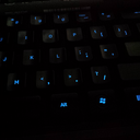 butterflyevolution avatar