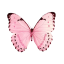 butterflygifs avatar