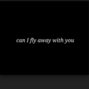 butterflygrenade avatar