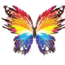 butterflyhope17 avatar