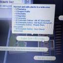 butterflyjuice avatar