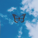 butterflykayla94 avatar